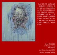 芬兰北极博物馆展出中国当代艺术作品—邓少伟